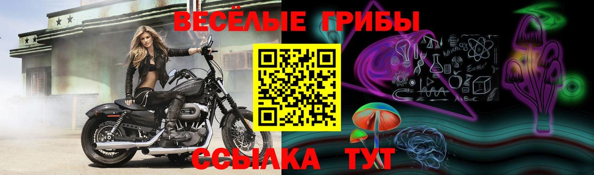 Псилоцибиновые грибы MAGIC MUSHROOMS  Вход с VPN  где купить   Видное  Галлюциногенные грибы Cubensis 